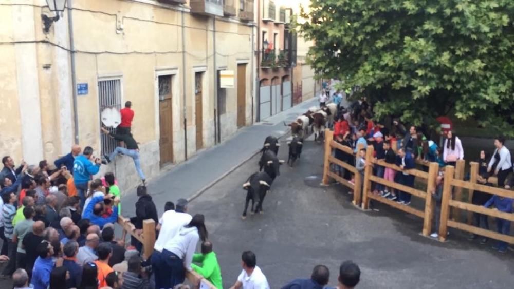 Toro de cajón y encierro urbano en Toro