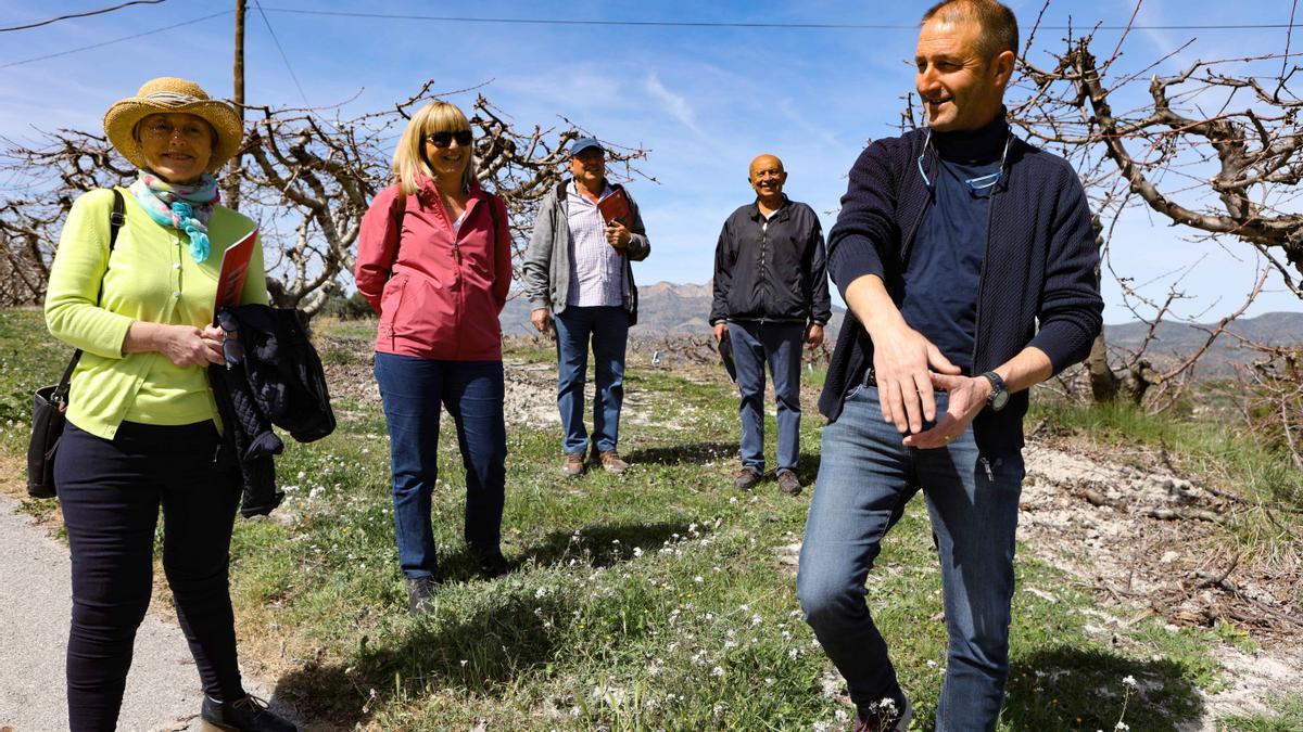 " Menjars de la Terra" ha organizado junto con el Consejo regulador de la IGP Cereza de la Montaña de Alicante una actividad que profundiza en el conocimiento de la fruta