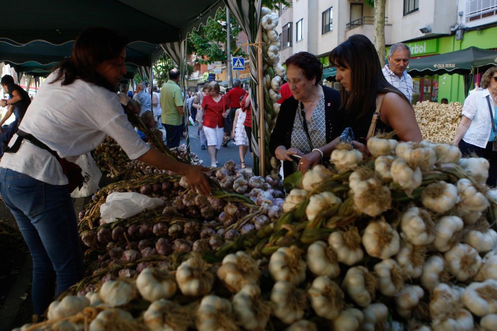 San Pedro 2016: Feria del Ajo