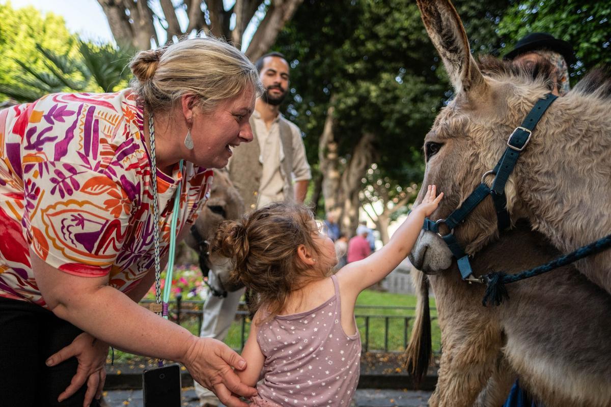 Noche de los Burros en La Laguna