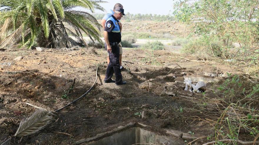 Localizada la serpiente perdida en Costa Teguise