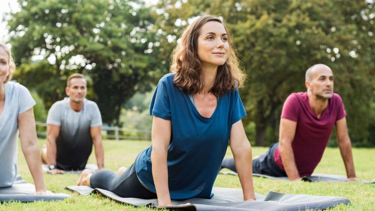 Destacados expertos impartirán nuevas disciplinas de yoga y meditación en Diario de Ibiza. | SHUTTERSTOCK