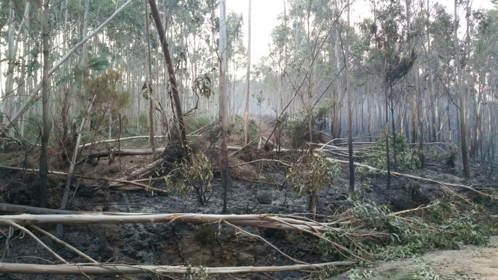 Incendios en Galicia | El fuego de Porto do Son arrasa el monte de A Curota