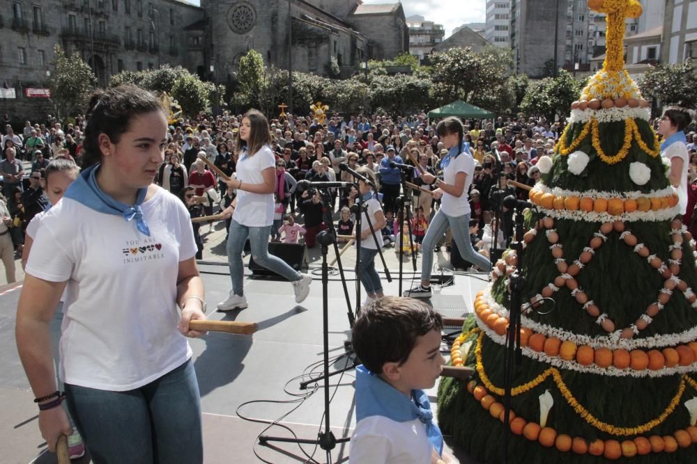 Cantos, humor y flores en los "maios" de Pontevedra