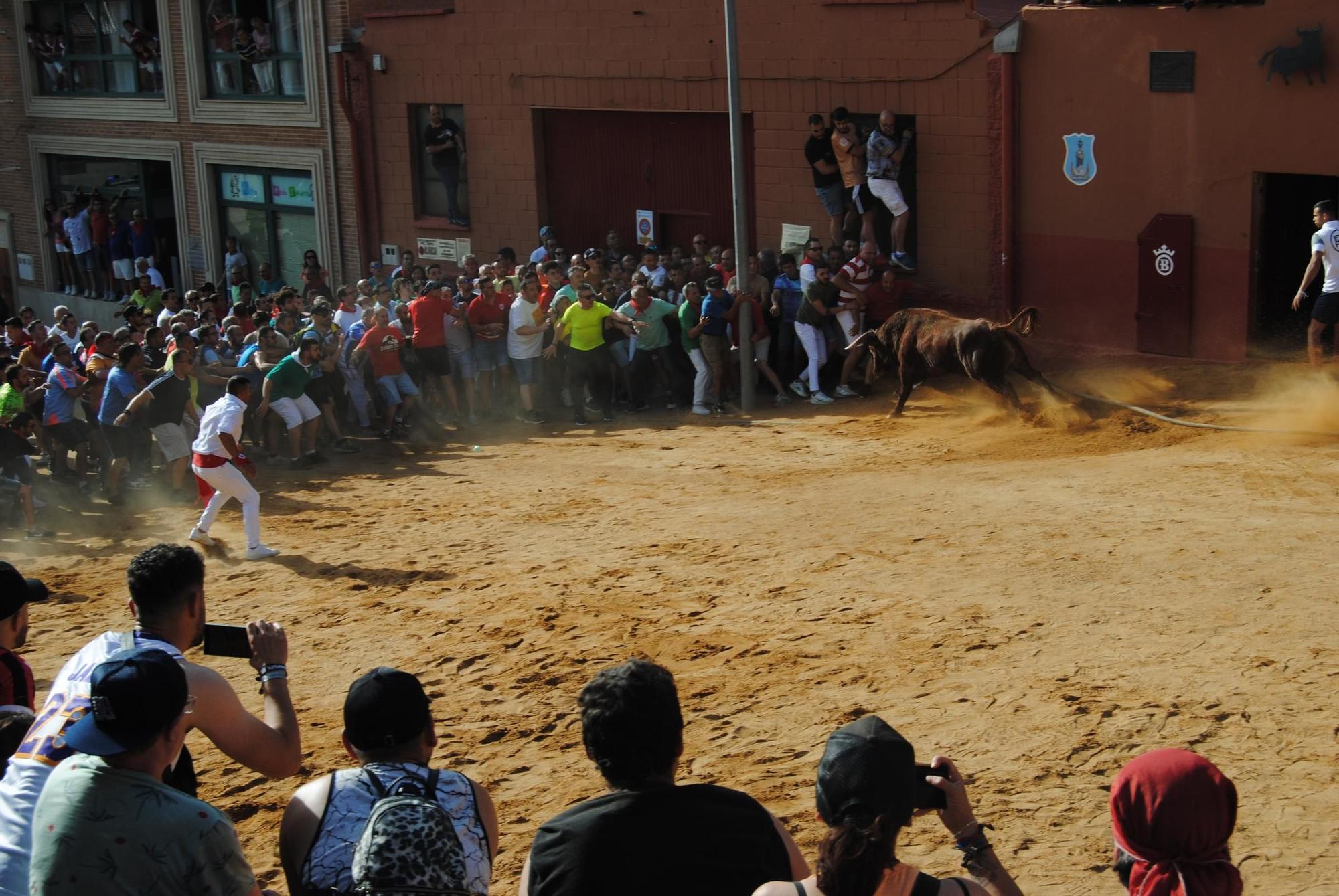 Así ha sido la carrera del torito Espléndido en Benavente