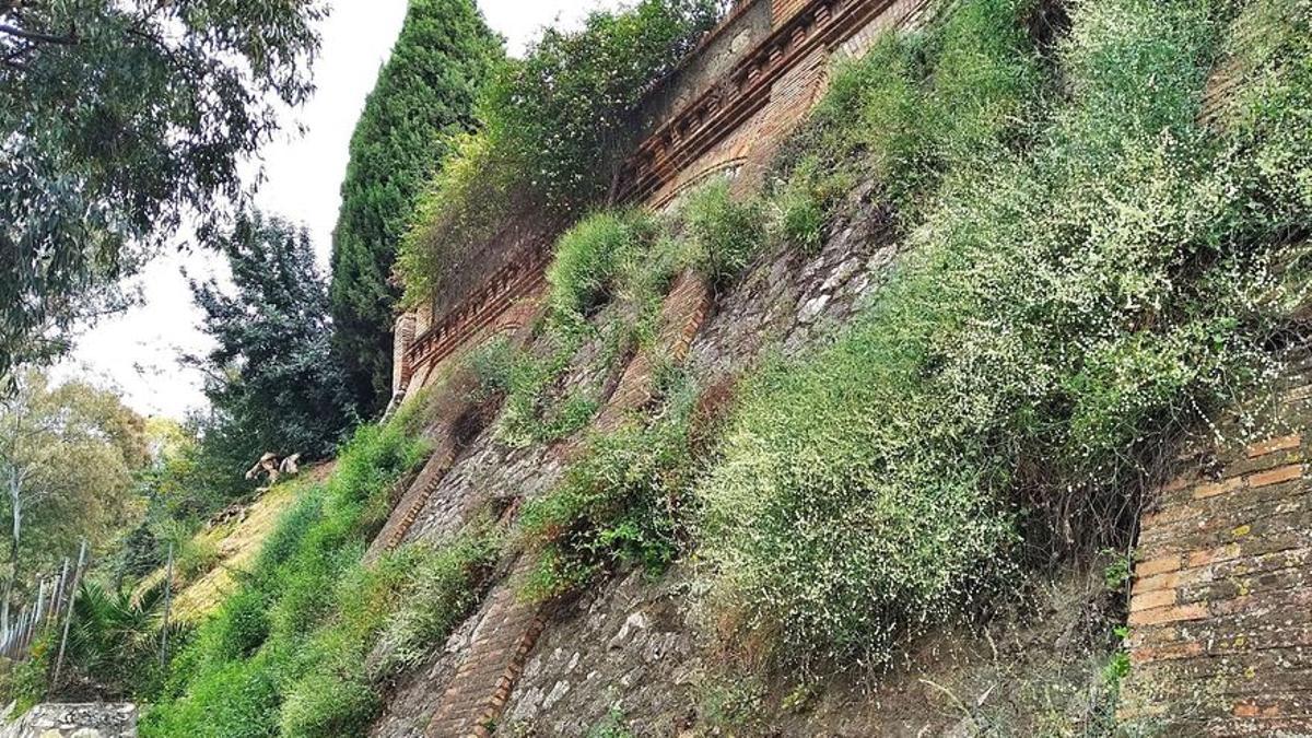 Detalle del muro del Colegio del Monte el pasado lunes, que forma parte de la obra de Fernando Guerrero Strachan de 1926