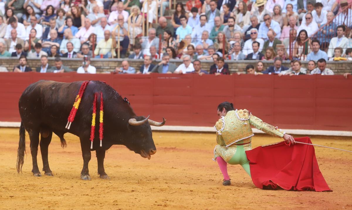 Última corrida de abono de la Feria Taurina de Córdoba, en imágenes Última corrida de abono de la Feria Taurina de Córdoba, en imágenes
