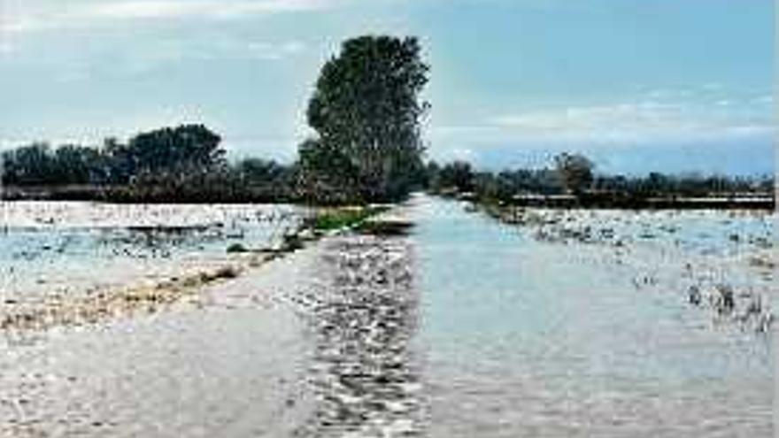 Un dels passallissos de la Muga inundat per aiguats.