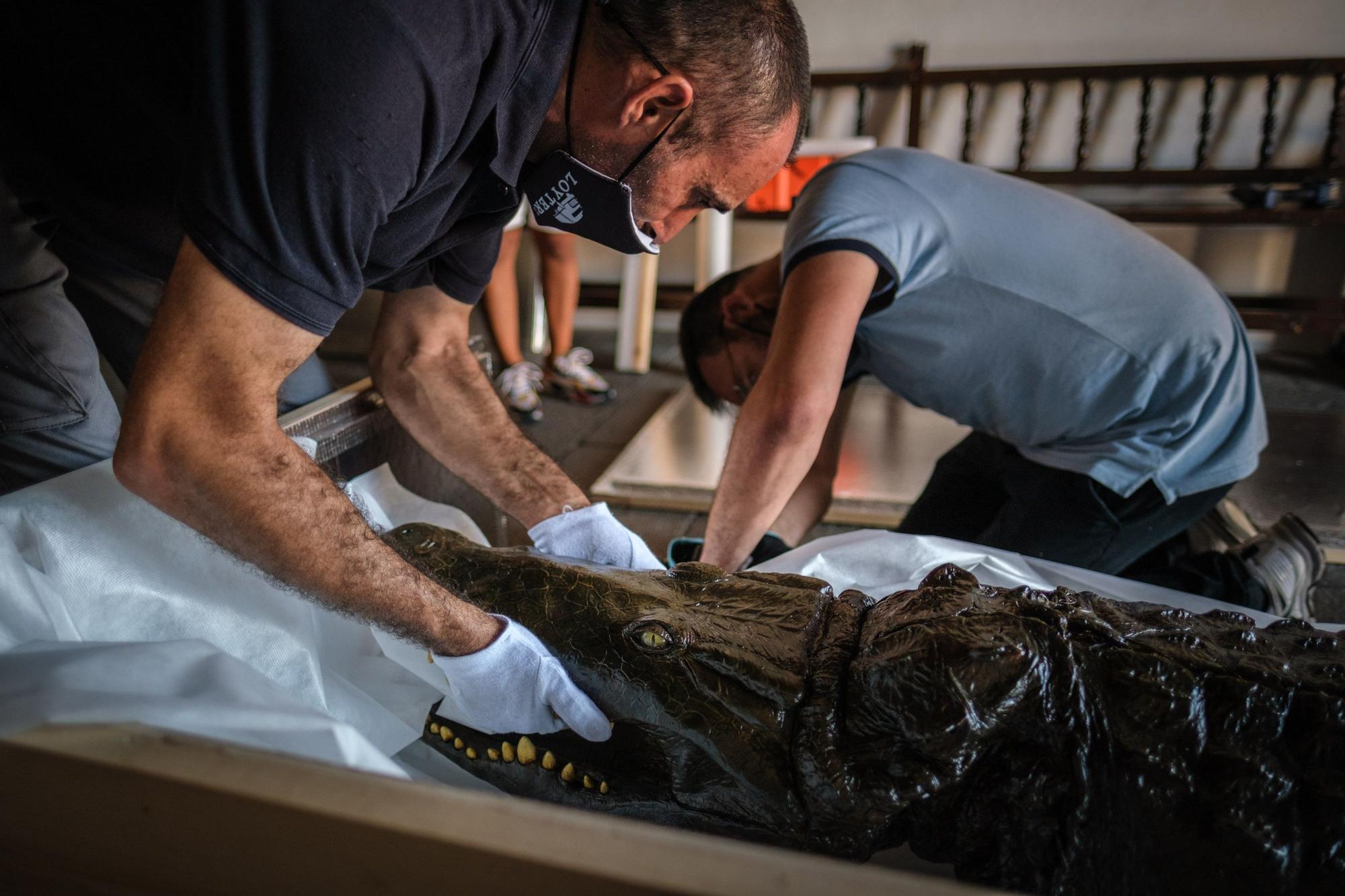 Traslado de la Virgen y el caimán de Las Angustias