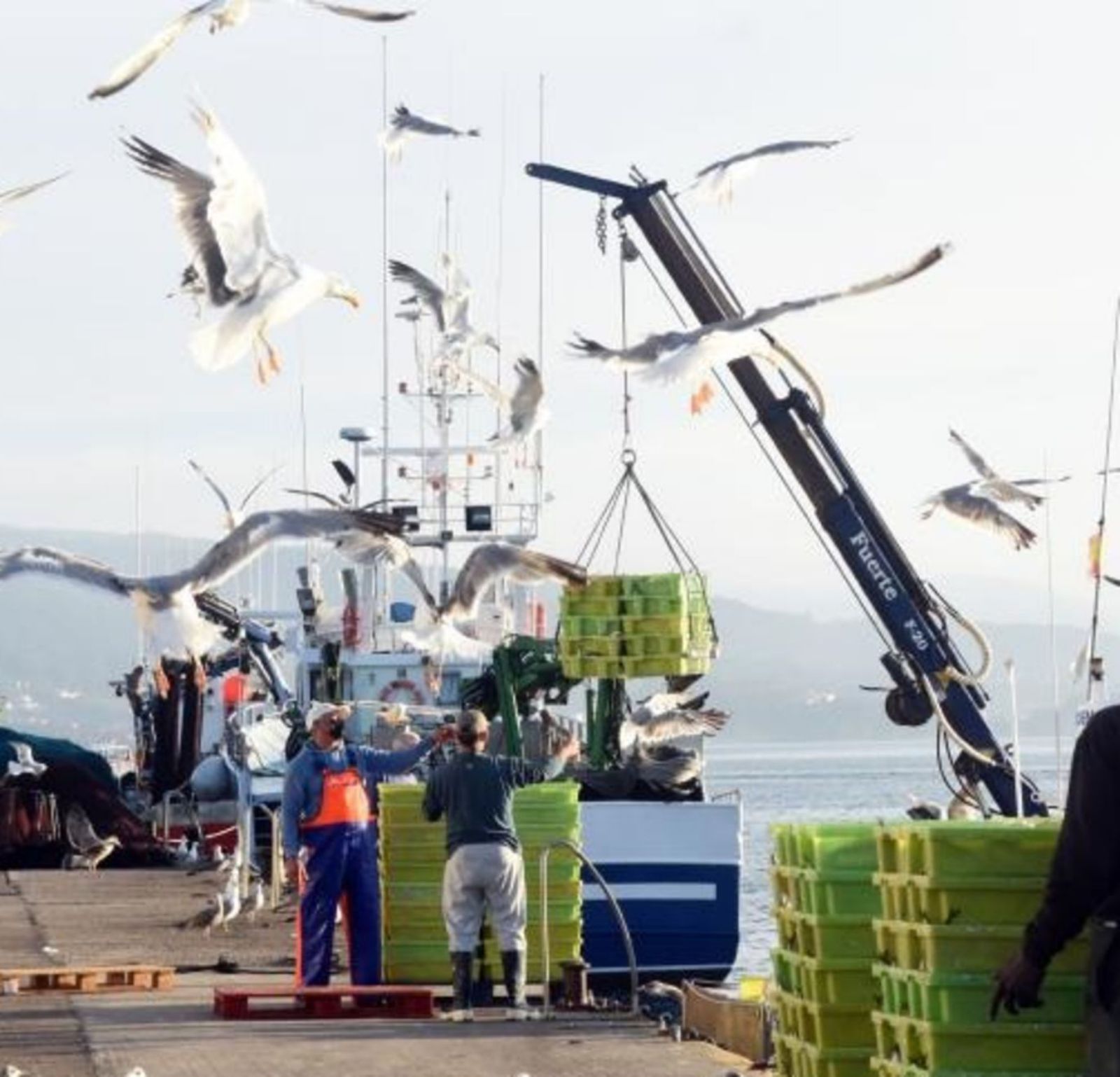 Trabajos de descarga en un puerto pesquero gallego