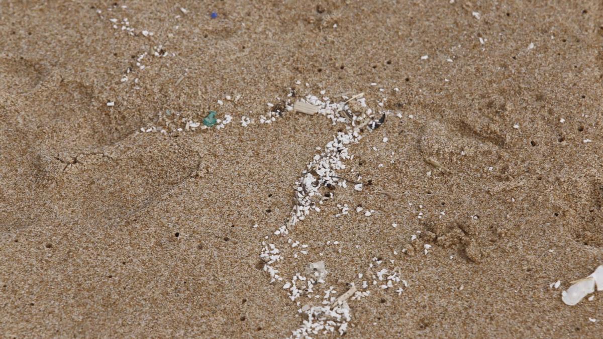 Las bolitas en forma de grano de arroz halladas en las costa sur de la Safor.