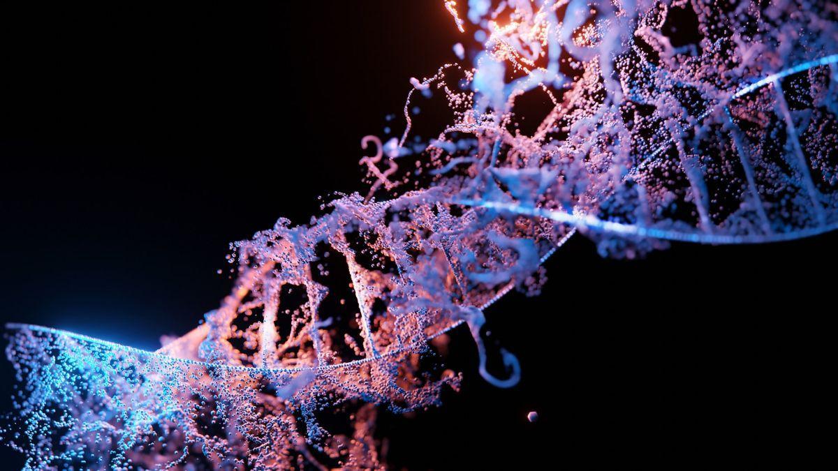 Una diferencia casi imperceptible en un gen provocaría que los seres humanos tengan más probabilidades de desarrollar cáncer que otros primates.