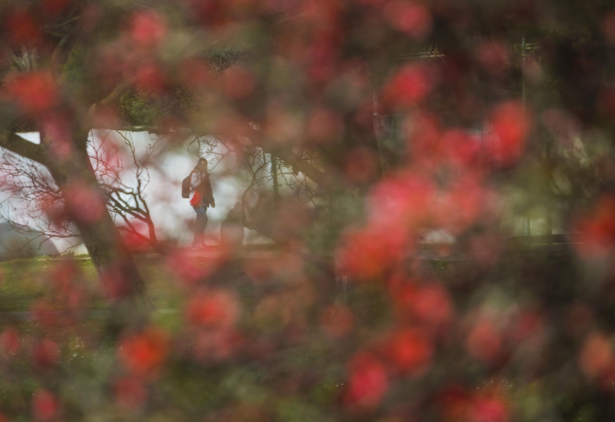 La primavera ya está llegando y así se deja notar en Avilés