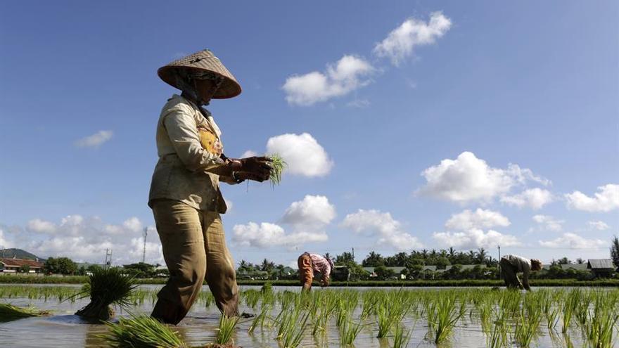 Sánchez Amor pide que Europa se replantee las importaciones de Myanmar