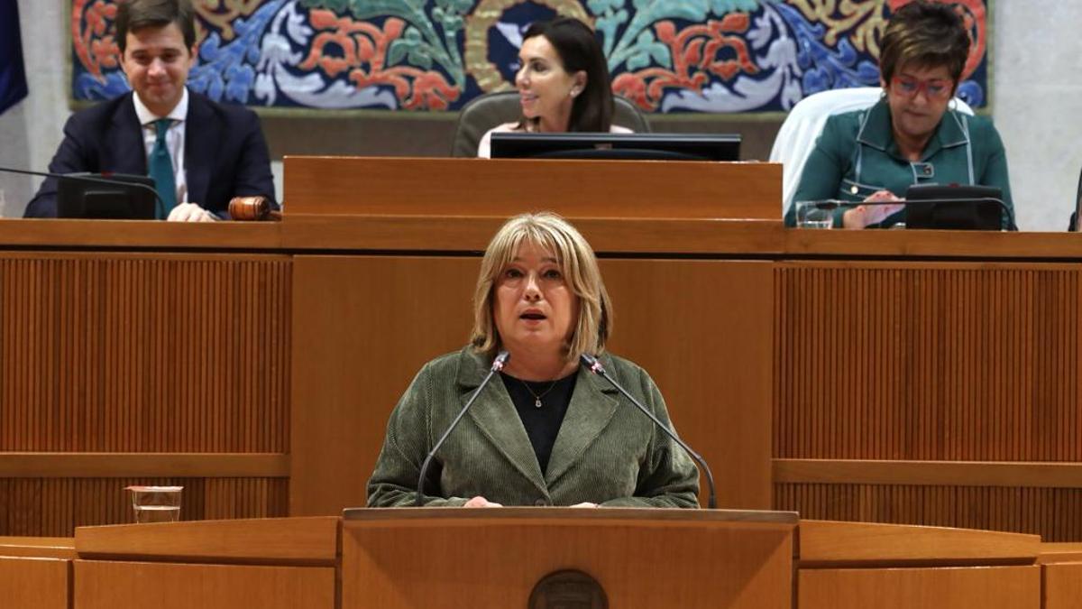 La consejera de Presidencia, Tomasa Hernández, el pasado jueves durante la presentación del plan de concordia.