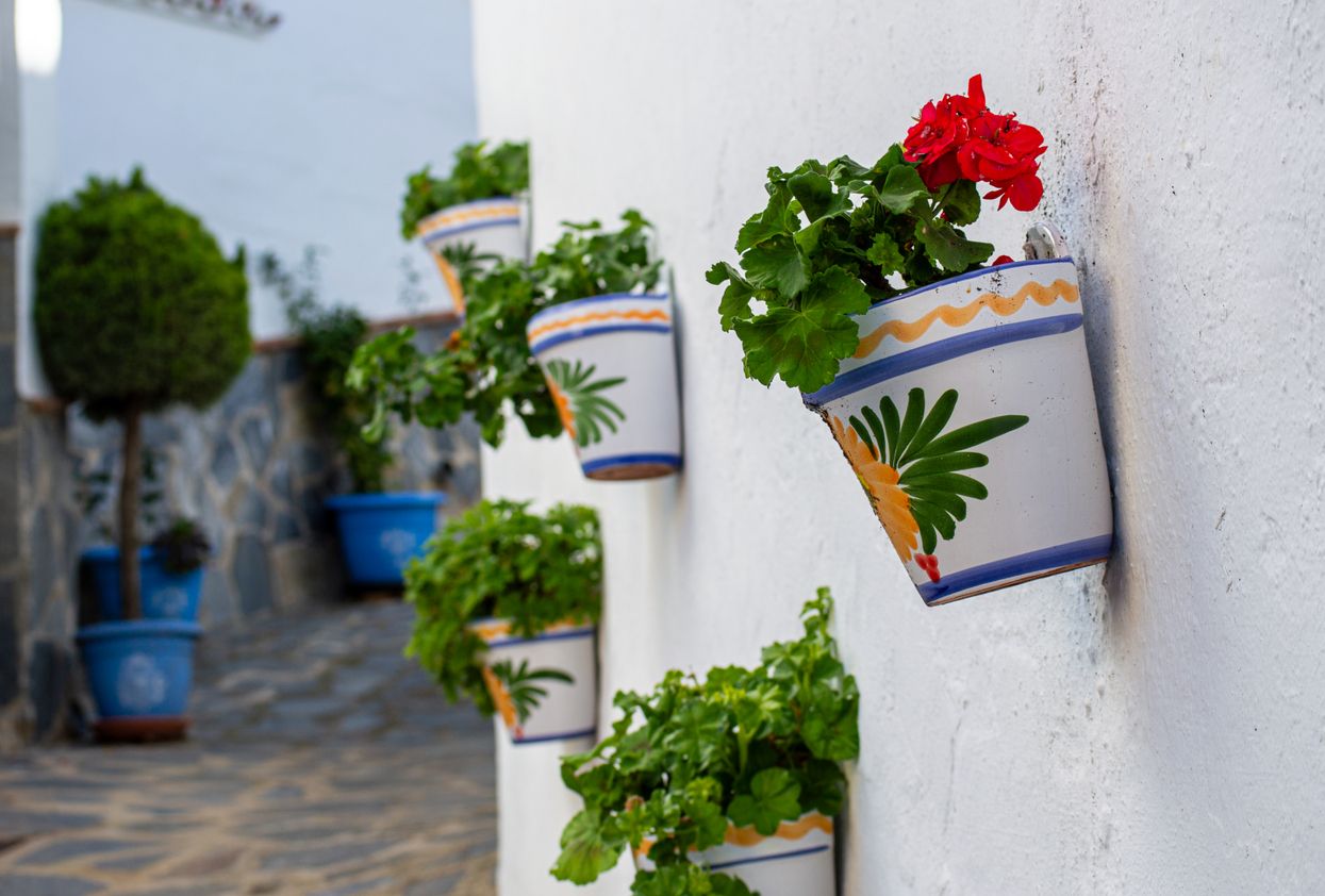 Imagen de Parauta, Málaga.