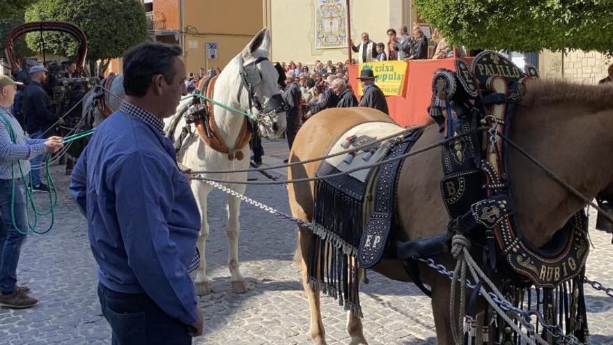 Mascotas y carrocerías reciben la bendición de Sant Antoni