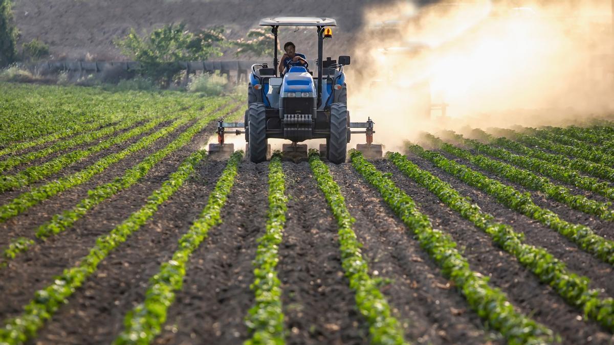 Agricultor trabajanco con su tractor