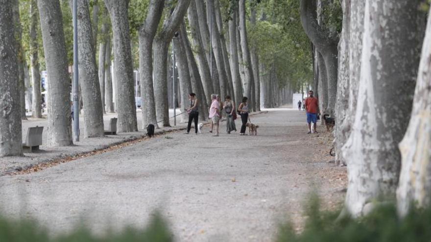 La Devesa, un parc sempre d&#039;actualitat.