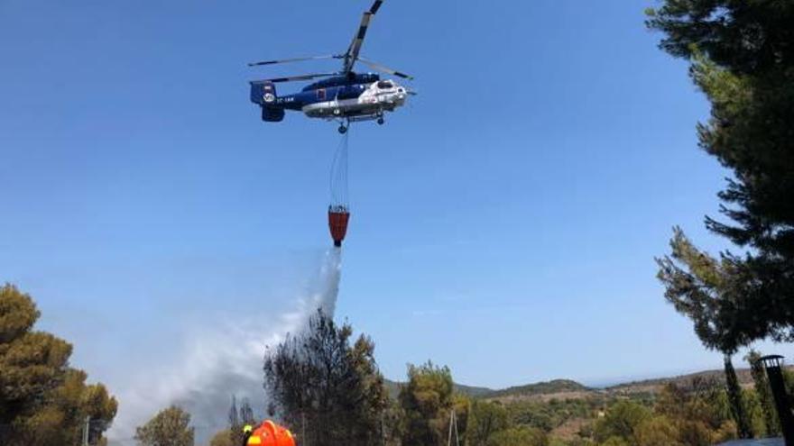 Sospechan que el fuego en el Pla de Pavia de Albalat fue fruto de «una imprudencia»