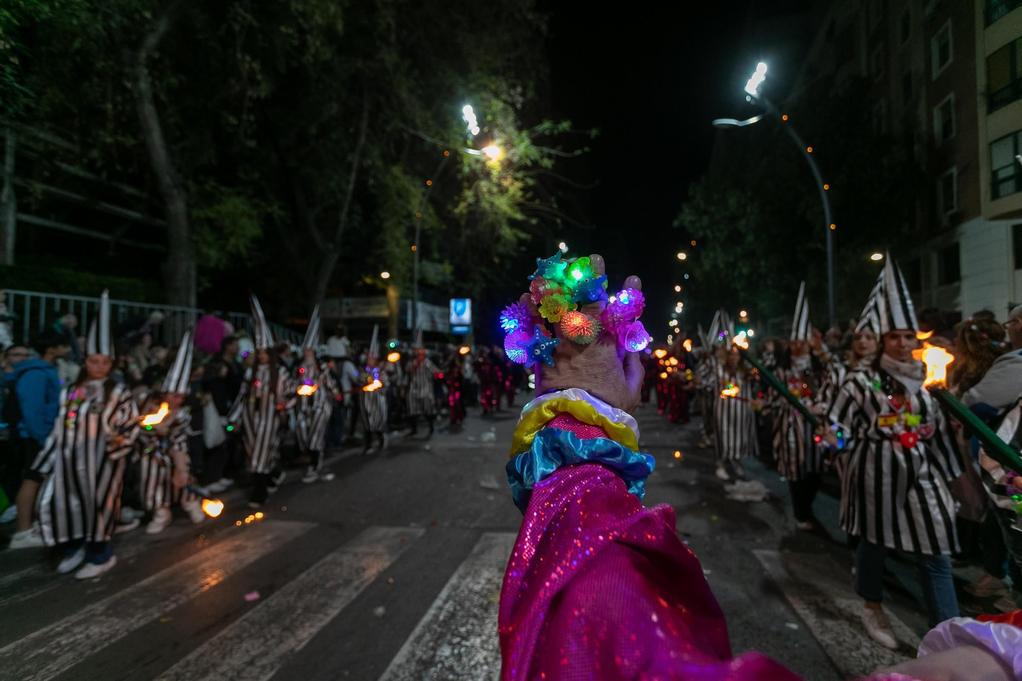 Las mejores imágenes del desfile y la lectura del Testamento de la Sardina