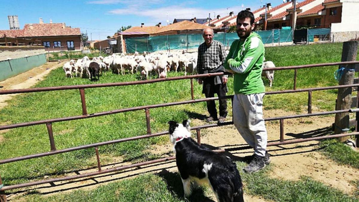 Orlando y Pedro Toro, con parte de las 800 ovejas de las que sacan la materia prima. | M. F.