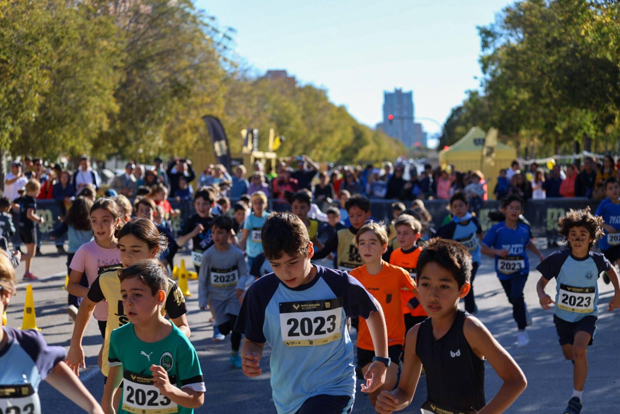 Mini Maratón Valencia MSC