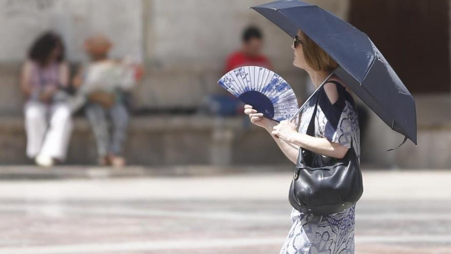 Qué hacer ante una ola de calor