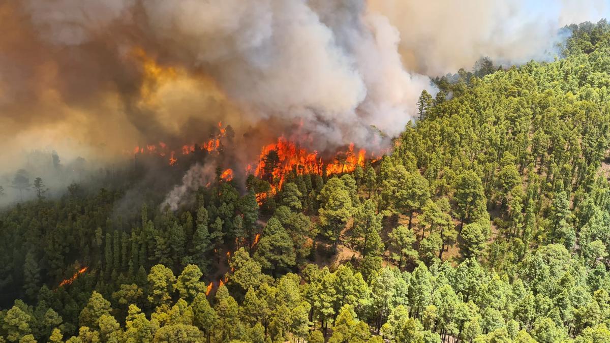 Conato de incendio en Tenerife