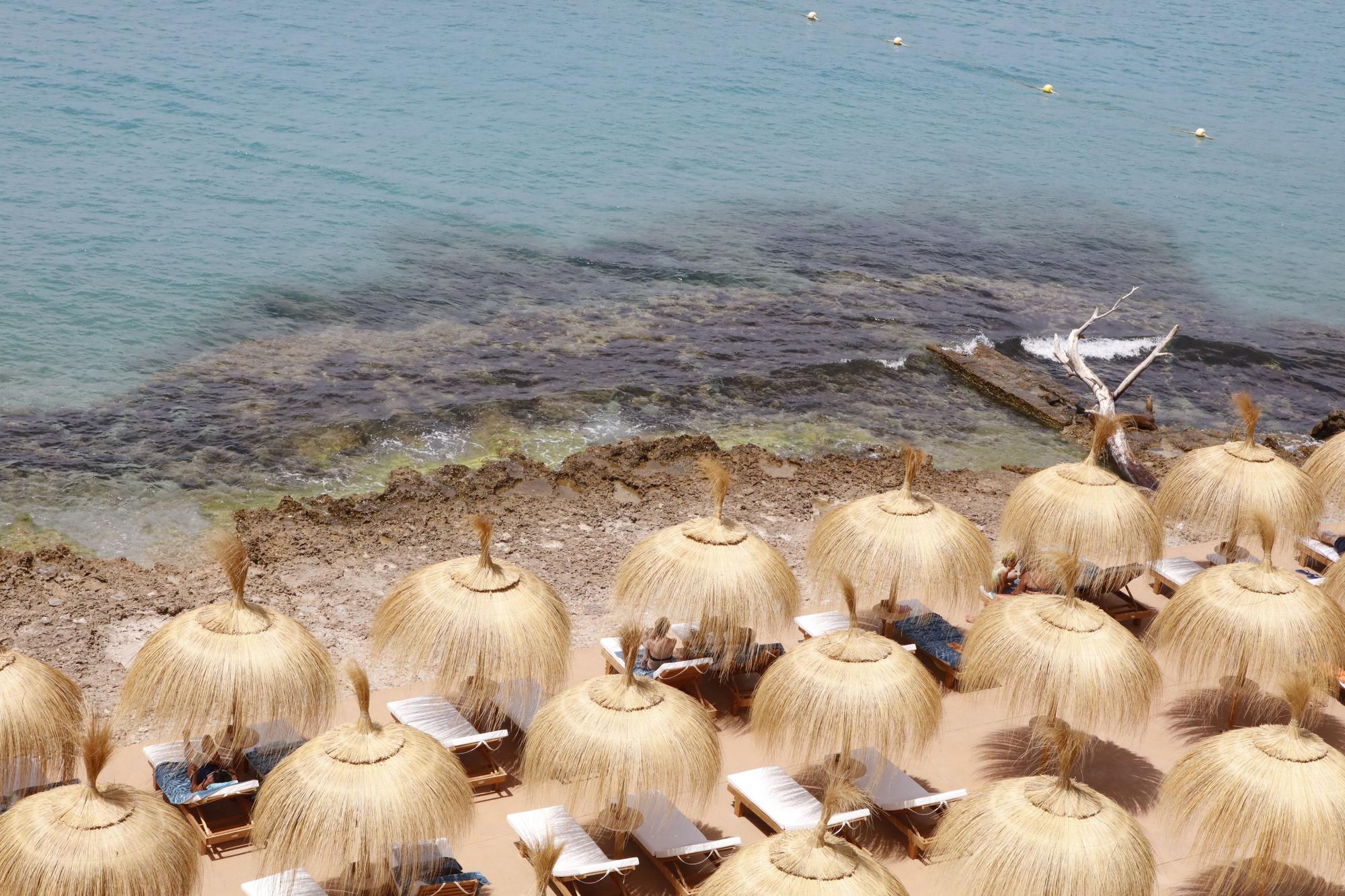 So sieht es im ersten "Beach Club Hotel" auf Mallorca aus