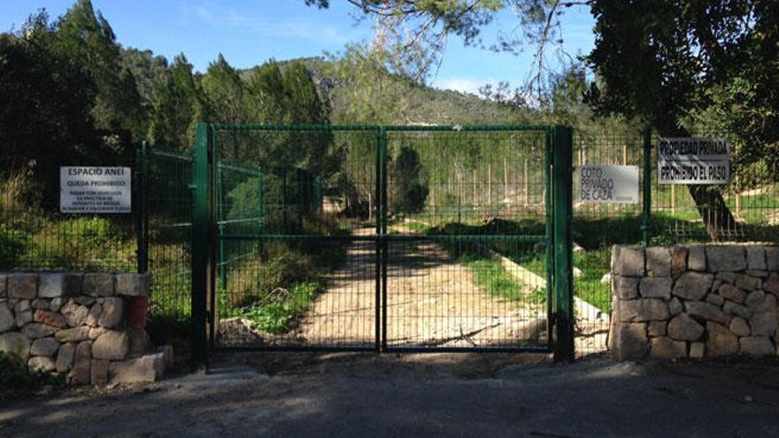 La Ruta del colesterol se vuelve a abrir en La Vileta