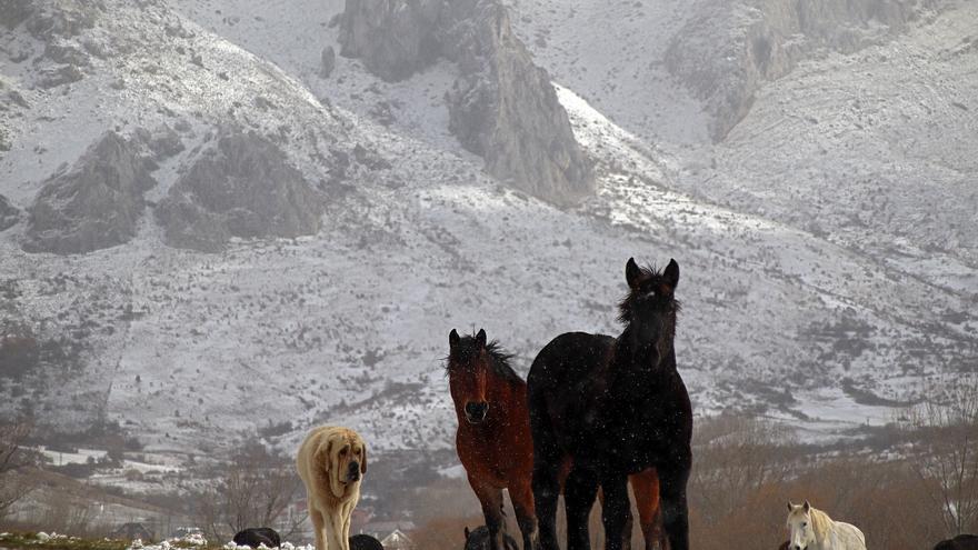 La Junta declara la alerta por nieve en todas las provincias de Castilla y León