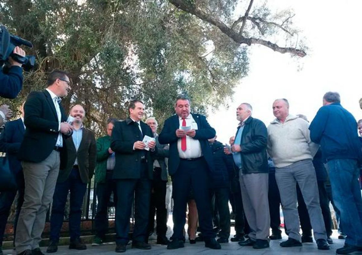 Vigo abraza a su centenario olivo