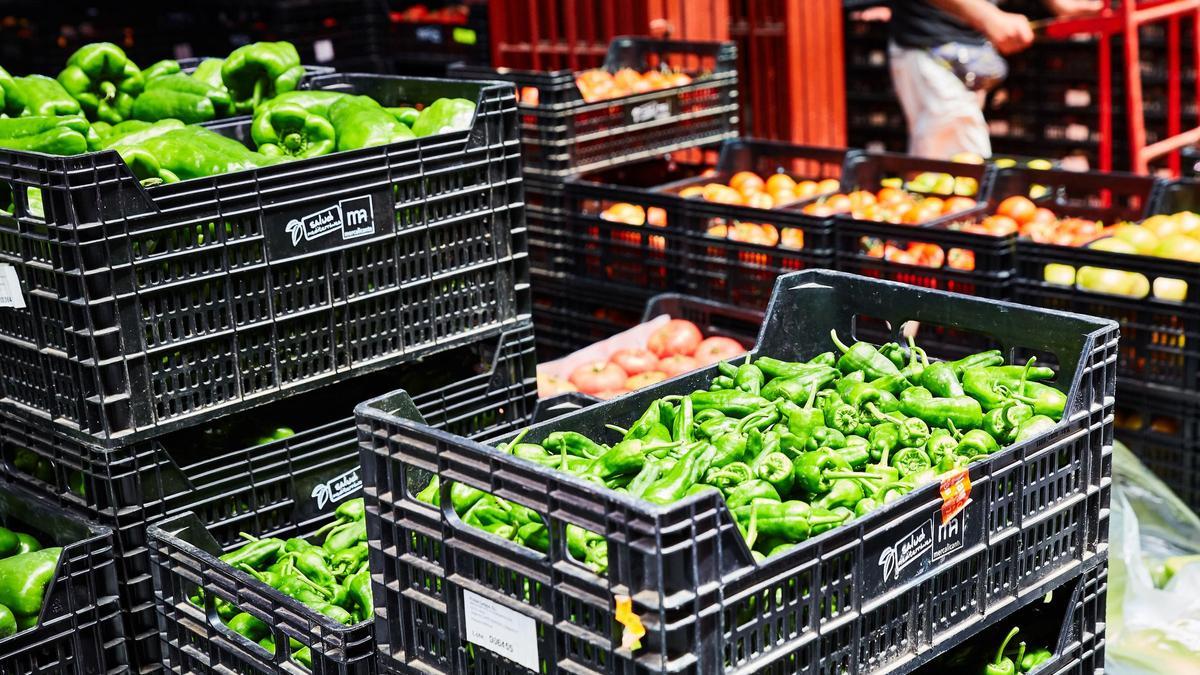 Mercalicante distribuye alimentos hortofrutícolas, cárnicos y de la pesca.