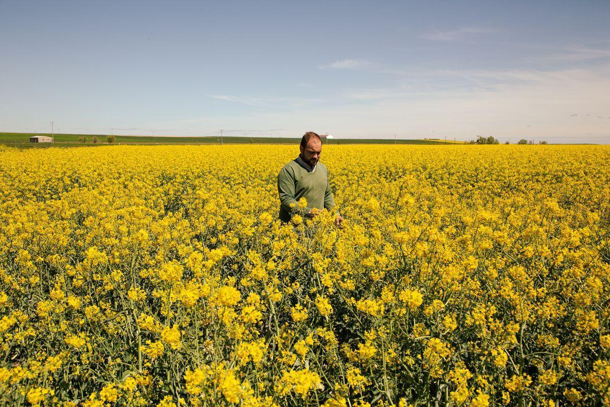 ¿Aigua per a la indústria, l’agricultura o el turisme? | Gestionar recursos escassos