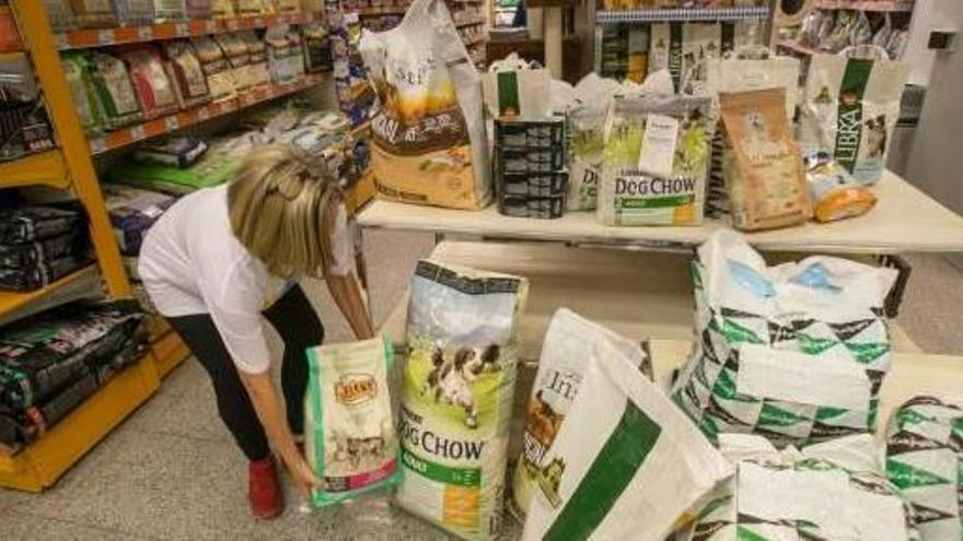 Recogida de pienso para perros y gatos