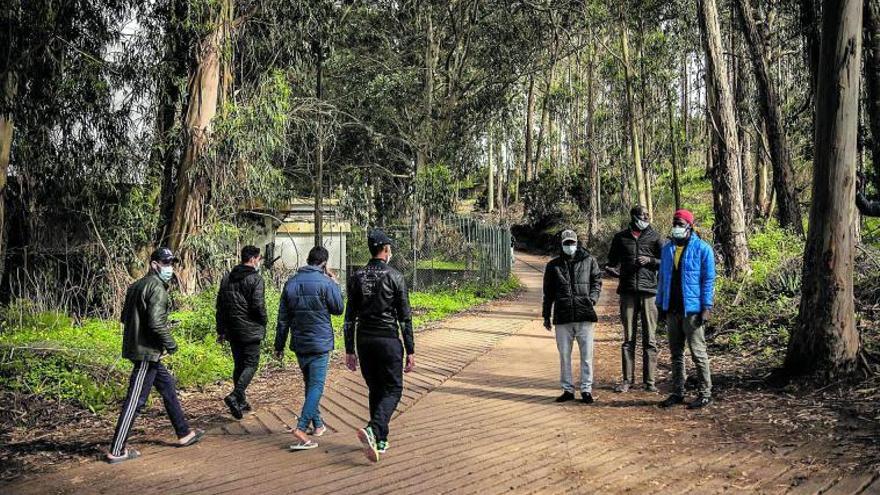 Algunos migrantes pasean por los exteriores del campamento de Las Raíces, en La Laguna.