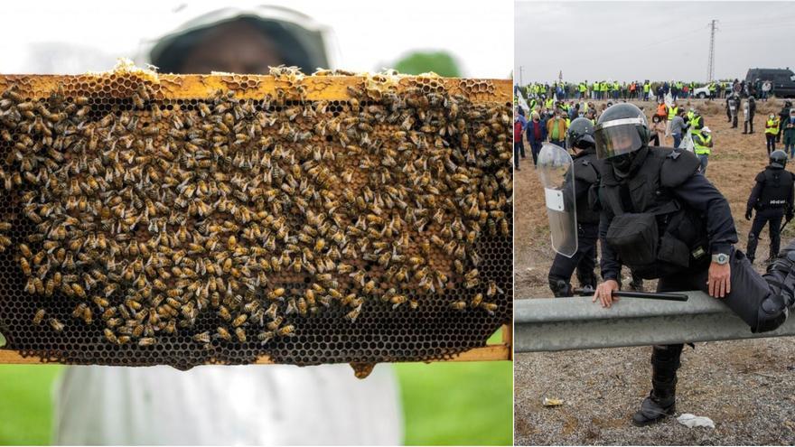 Una asociación agraria amenaza con “abrir las colmenas de abejas” si los antidisturbios se acercan durante las protestas