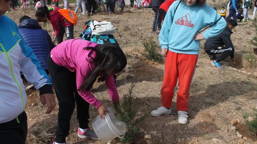 El día del árbol potencia el cuidado del medio ambiente