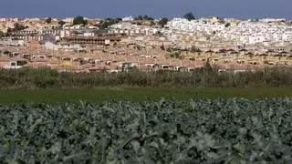 Los vecinos de La Marina ante la moción de censura de San Fulgencio: "Reclamamos que el Ayuntamiento cumpla sus compromisos"