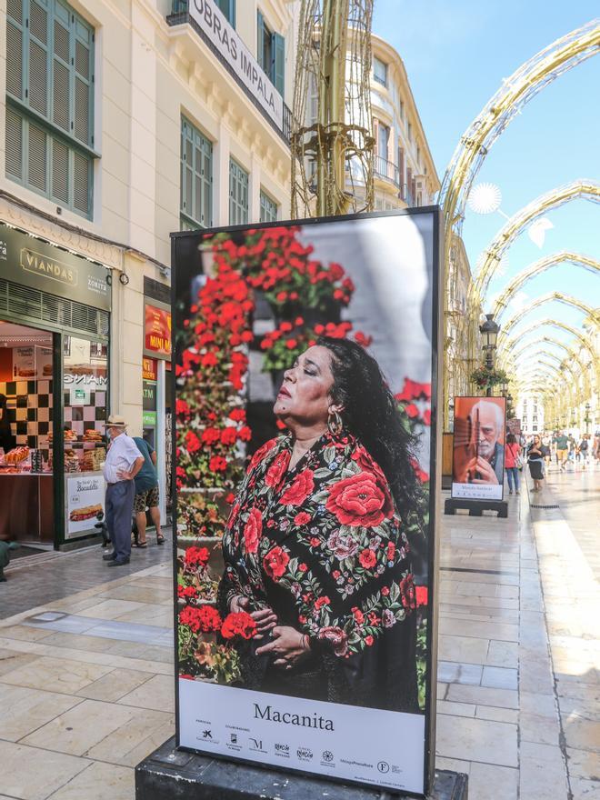 Fotos de la exposición 'Out Flamenco' de la calle Larios