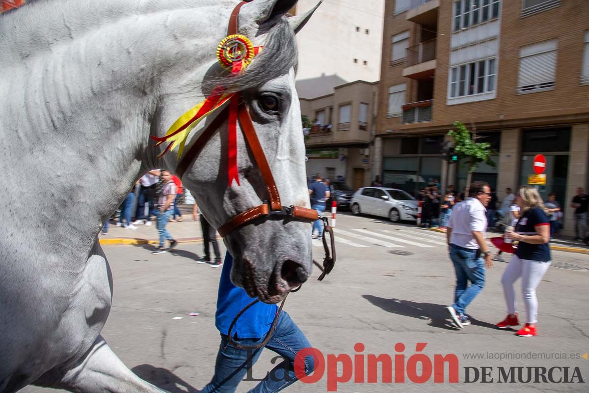 Pasacalles caballos del vino al hoyo