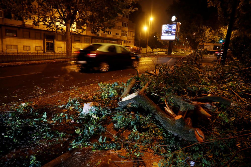 Arbres caiguts a la ciutat de Lisboa a causa del pas de l'huracà "Leslie"