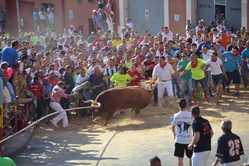 La carrera del Toro Enmaromado 2017 Razonador