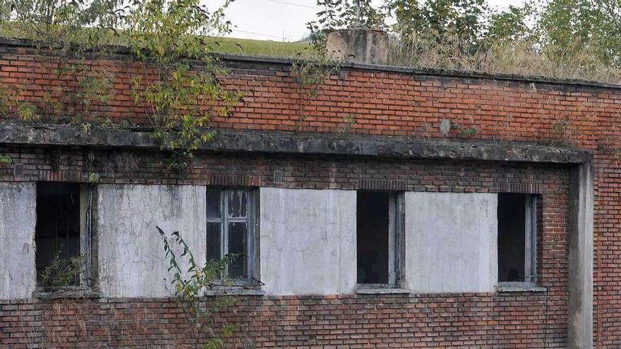 Aspecto de la construcción, sin ventanas y con vegetación en la cubierta.