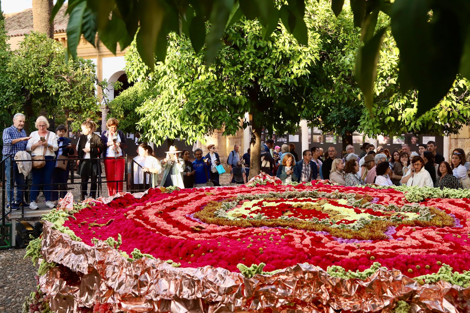 Córdoba Flora 2023: Harriet Parry (Reino Unido)