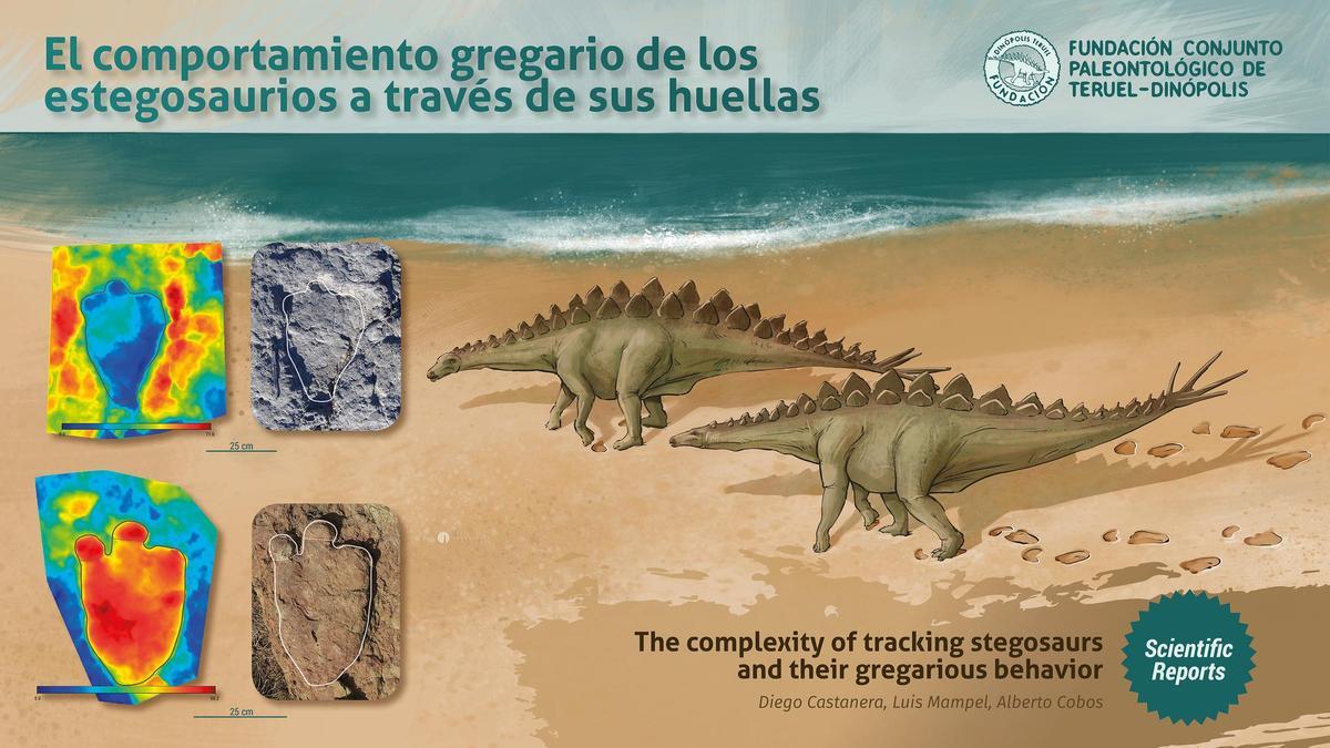 Paleoilustración en la que se muestran dos de las icnitas estudiadas, junto con sus mapas de profundidad por colores y dos estegosaurios caminando de forma paralela mostrando su comportamiento gregario.