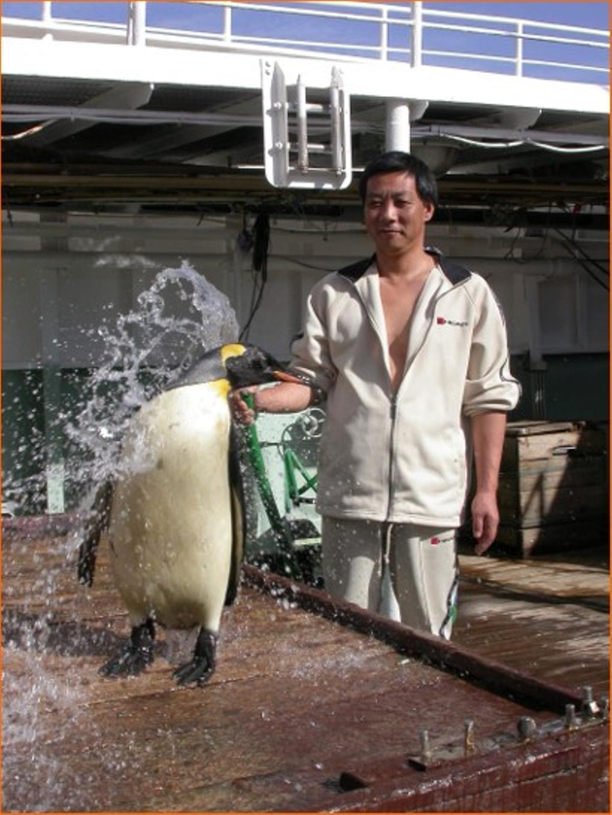 El patrón del barco japonés refresca a Geisha en 2003.
