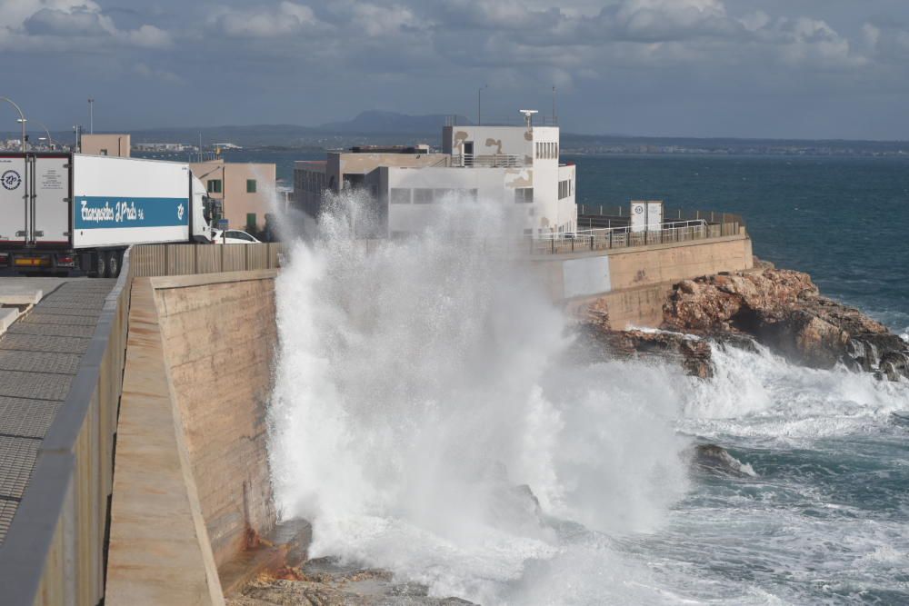 Temporal en la bahía de Palma