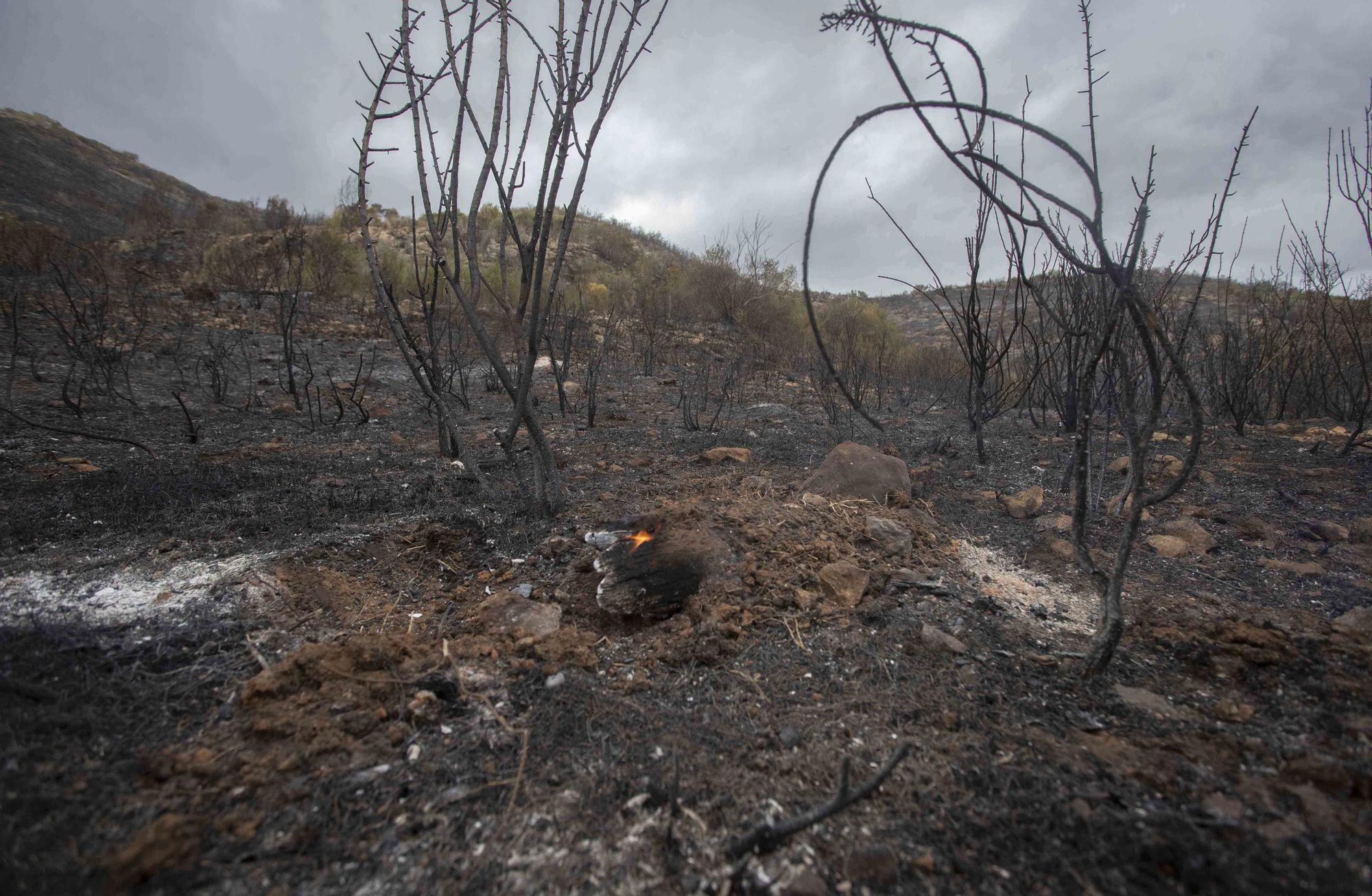 Así ha quedado la zona incendiada de Rafelguaraf